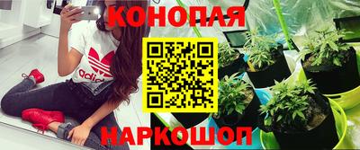 spice Канаш