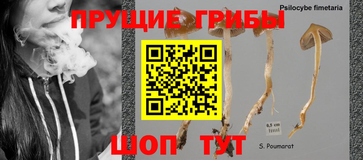 Галлюциногенные грибы прущие грибы  Вход с VPN  Псилоцибиновые грибы Psilocybine cubensis  Коркино 